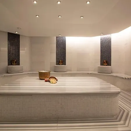 Ξενοδοχείο Golden Tulip Bayrampasa